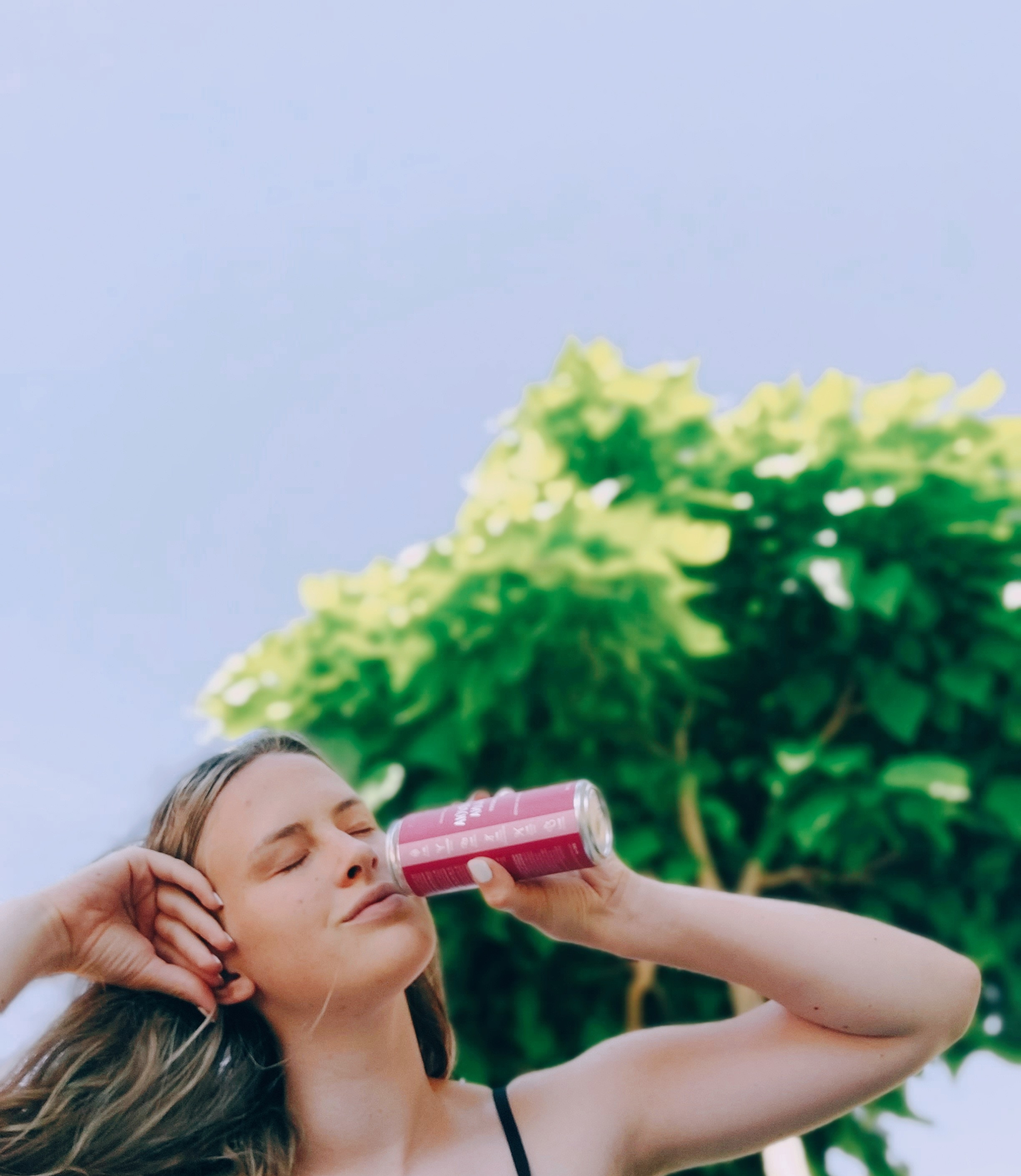 Kombucha cu zmeură bio