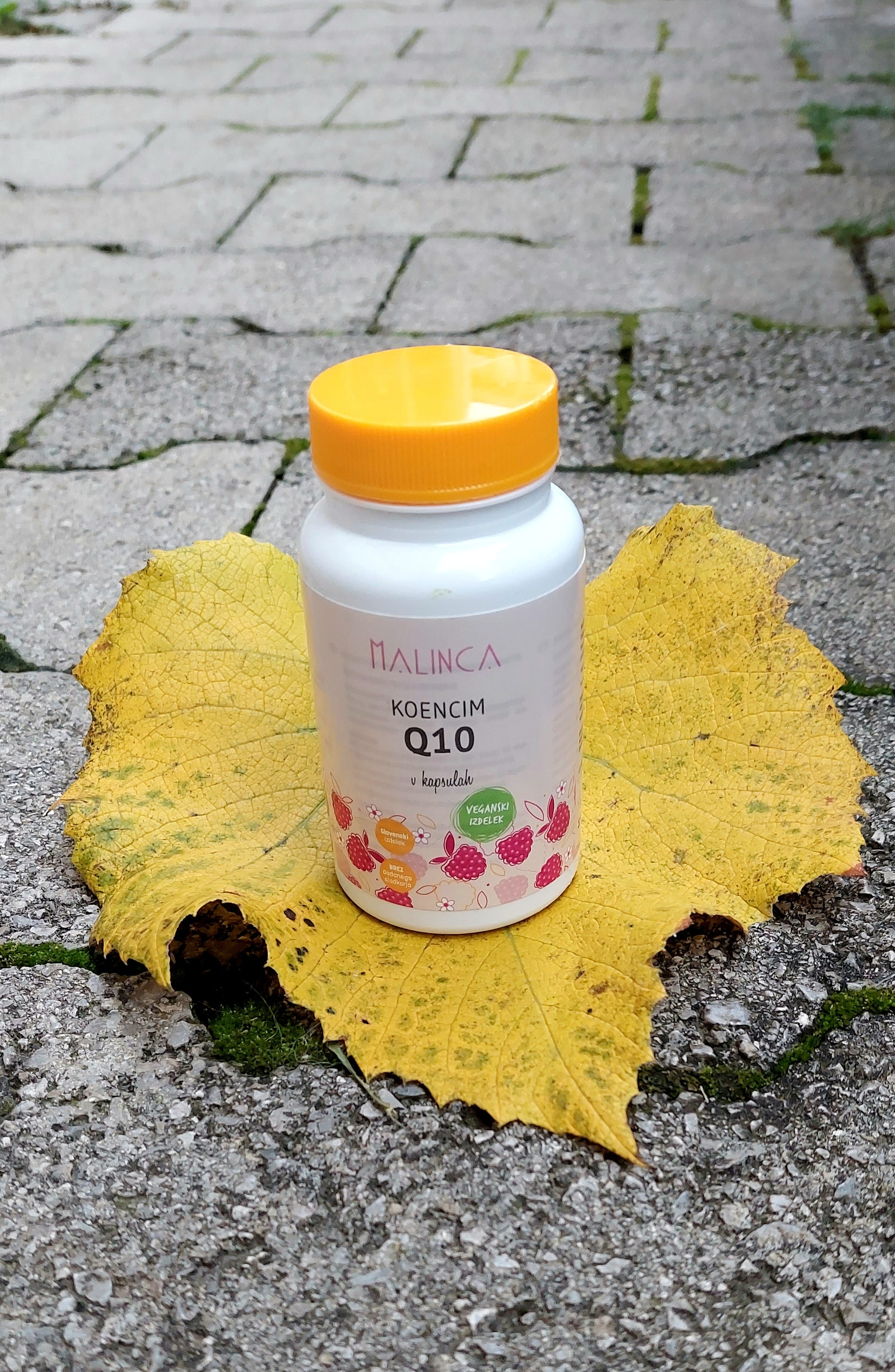 Coenzima Q10