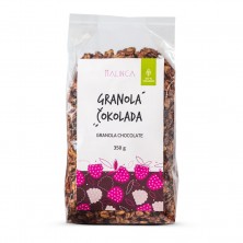 Homemade granola with chocolate