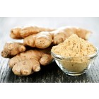 Ginger