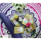 Customer's photo