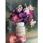 Imunobiotik